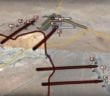 Sukhnah Liberation: Agonizing Decline of ISIS (August 7, 2017) – Syrian War Video Map Update