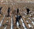North Korea Problem Needs Capitalism Not Militarism