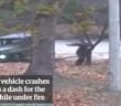 North Korean escapes through gun fire to the South