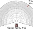 Elizabeth Warren not Indian imagine my lack of shock
