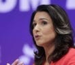 Tulsi Gabbard Cleaned up the first Democrat Debate