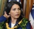 Stossel: Tulsi Gabbard (Full Interview)