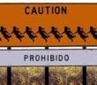 Dr Duke, Eric Striker & Ry on Immigration & Zio Debt Slavery!