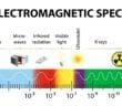 5G panic loons