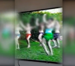 Italian police bust major ‘psycho-sect’ that practiced child sex
