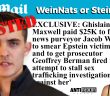 Zionist Jacob Wohl paid by Maxwell to smear rape victims