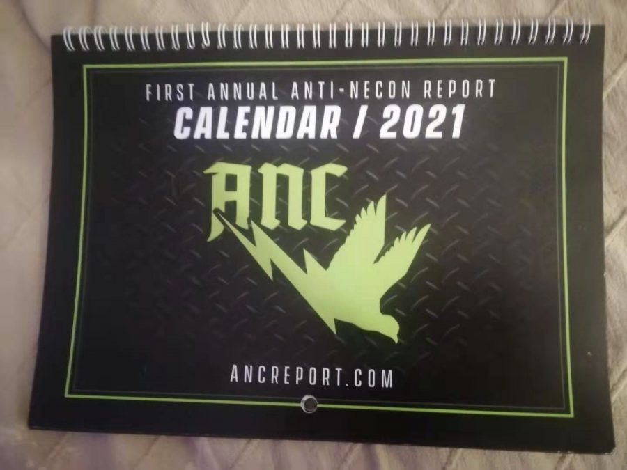 Home ANC Report