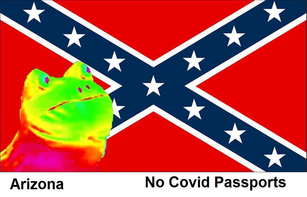 Arizona blocks Vaccine Passports