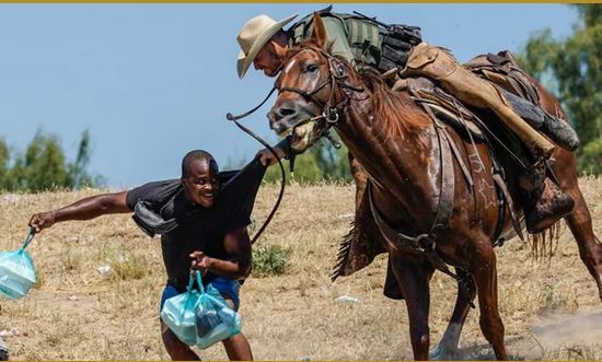 So they ban horses